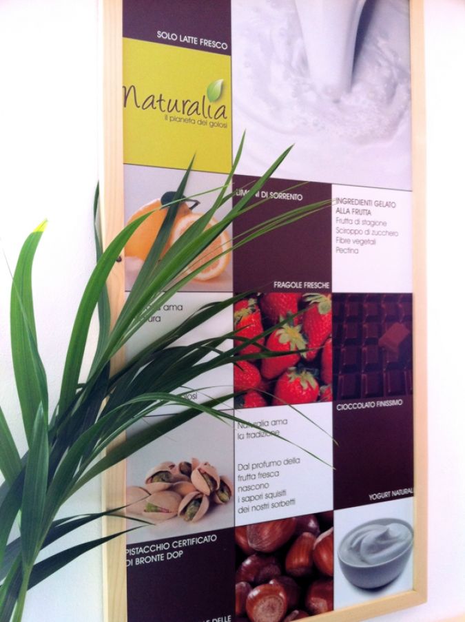 arredamento gelateria fornitura progetto interni alessandrai naturalia (4)